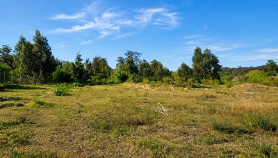 Venta de terrenos desde 1100 m2 en Barrio Golf de Punta del Este.