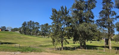 - Para Proyecto - Venta de Terrenos frente a Club de Golf de Punta del Este.