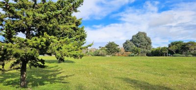 Venta de 2 terrenos en Avda. Pedragosa Sierra, Punta del Este.