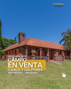 CAMPO EN VENTA - USD 1.180.000 | 60 Hecta?reas en Fray Bentos 