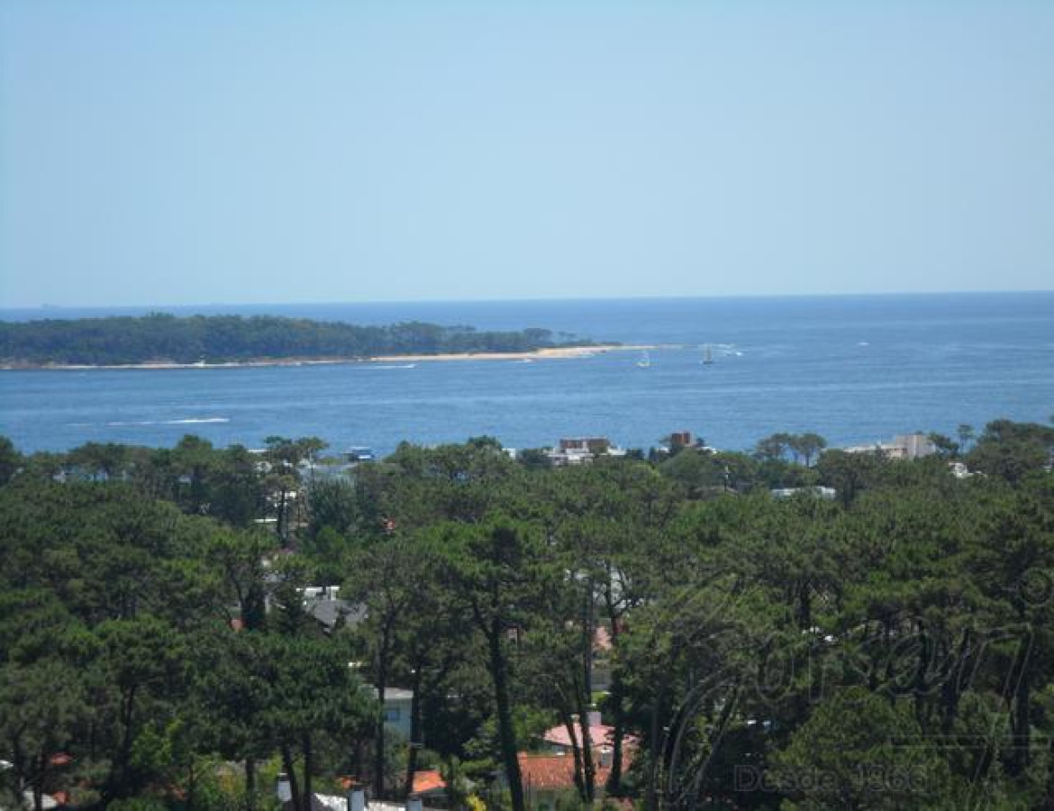 Roosevelt - GoPunta - Portal Inmobiliario de Punta del Este - Maldonado