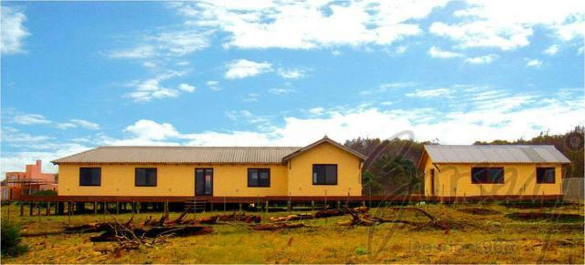 Sauce de Portezuelo - GoPunta - Portal Inmobiliario de Punta del Este - Maldonado