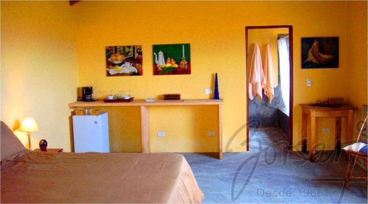 Sauce de Portezuelo - GoPunta - Portal Inmobiliario de Punta del Este - Maldonado