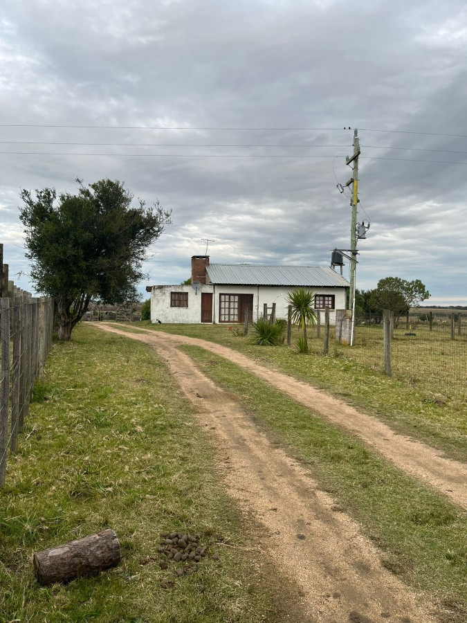 Zona Rural - GoPunta - Portal Inmobiliario de Punta del Este - Maldonado