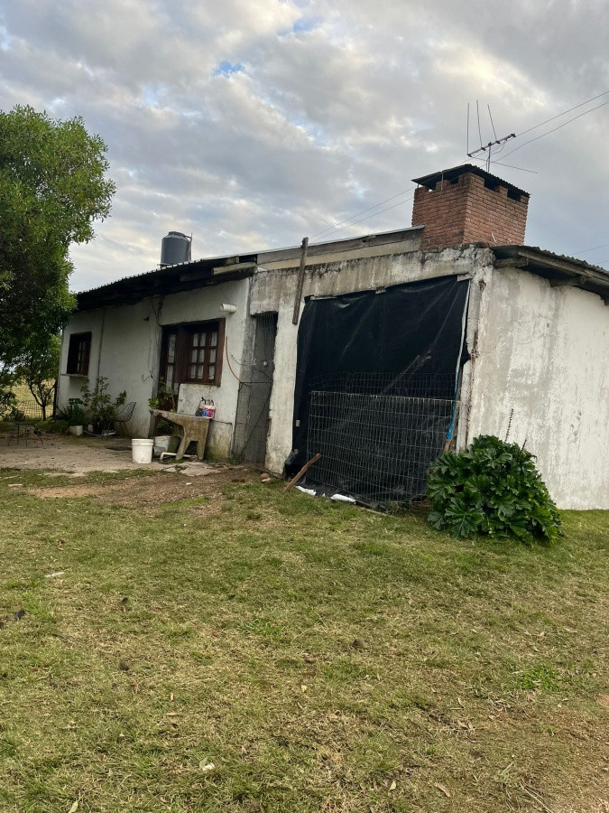 Zona Rural - GoPunta - Portal Inmobiliario de Punta del Este - Maldonado
