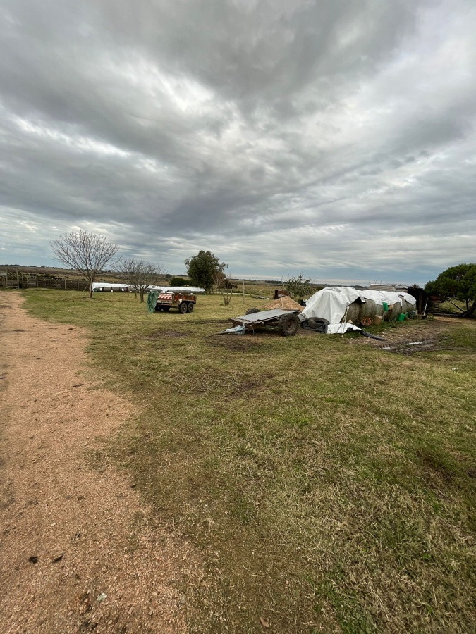 Zona Rural - GoPunta - Portal Inmobiliario de Punta del Este - Maldonado