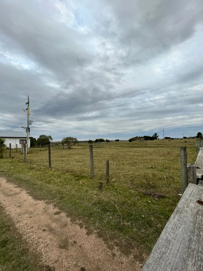 Zona Rural - GoPunta - Portal Inmobiliario de Punta del Este - Maldonado