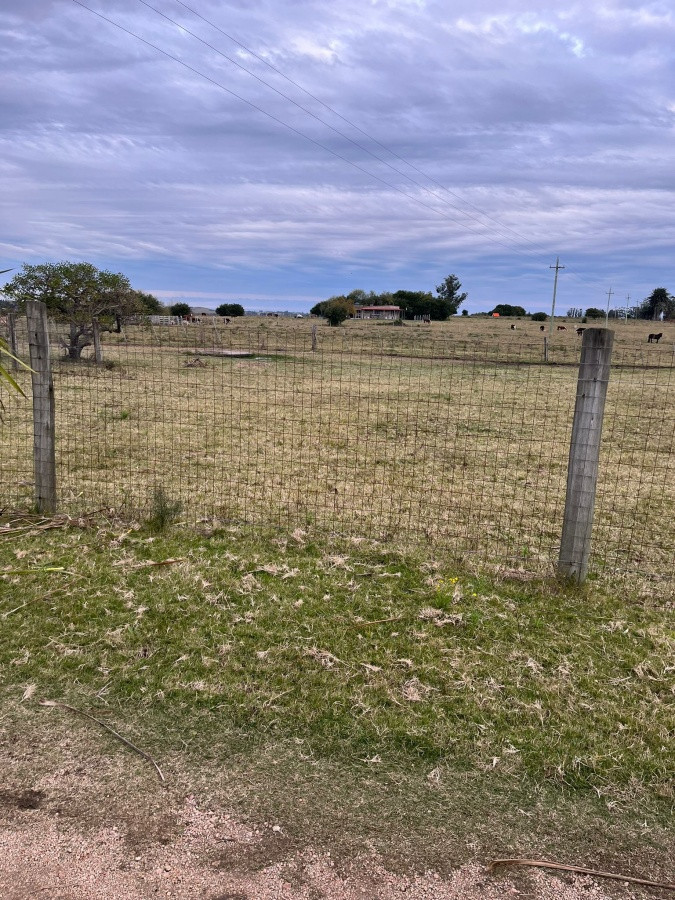 Zona Rural - GoPunta - Portal Inmobiliario de Punta del Este - Maldonado