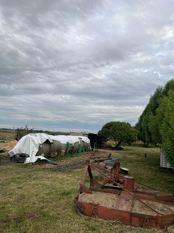 Zona Rural - GoPunta - Portal Inmobiliario de Punta del Este - Maldonado