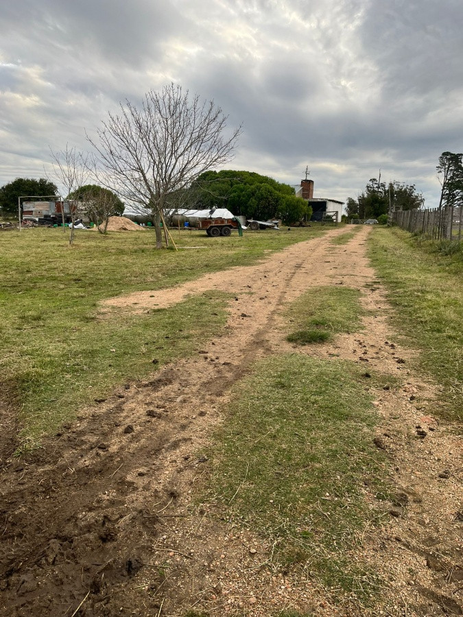 Zona Rural - GoPunta - Portal Inmobiliario de Punta del Este - Maldonado