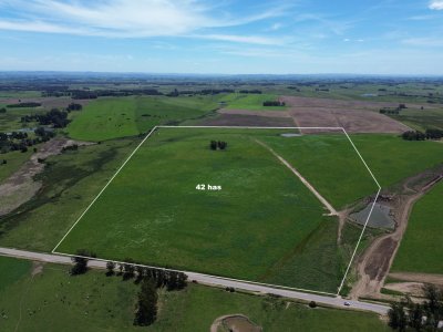 Chacra de 42 has. Entre R.104 y Camino Medellín