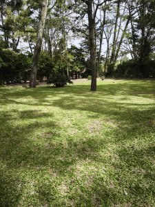 Oportunidad Terreno en San Rafael