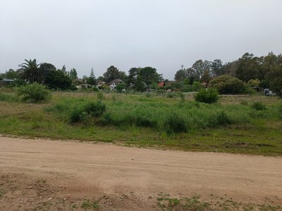 Terreno en El Tesoro 