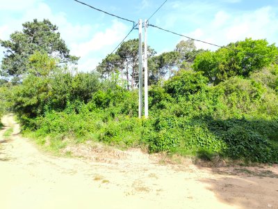 Terreno en La Paloma