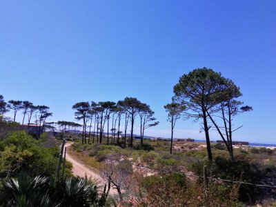 CASA EN VENTA CHIHUAHUA 