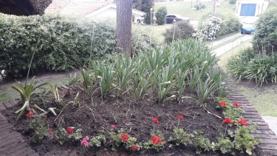 Casa a la Venta, 3 dormitorios, En Pinares