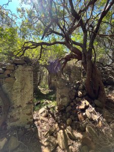 chacras 3 hectareas venta  vistas a las sierras!!