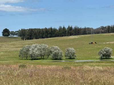 Charcas Los Cardos, Solo quedan 11 disponibles 