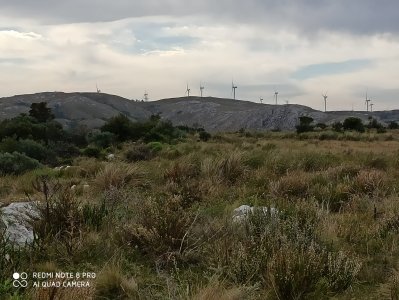 chacra venta  las cañas