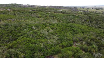 Chacra de 9 Hectareas y media en garzon 