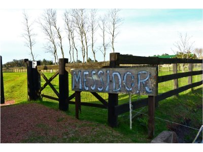 Espectacular Chacra en La Pataia 