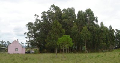 Terreno de 27,5 hectareas 