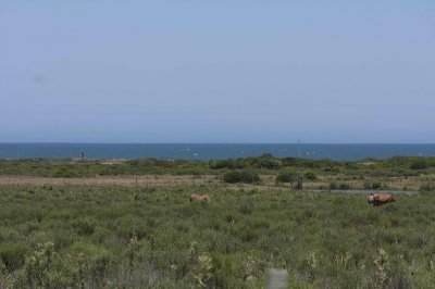 Espectacular Chacra de 5 has con vista al mar Arenas de Jose Ignacio, en venta, José Ignacio