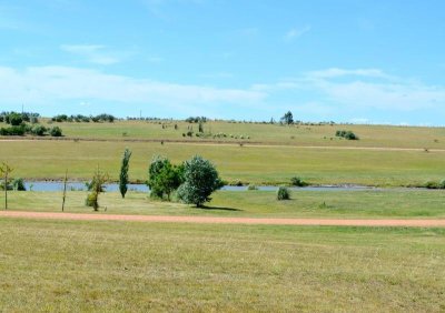 Terreno, Lote en Pueblo Mio