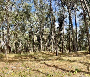 Terreno en venta en reserva montoya