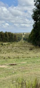 VENTA DE CAMPO, MALDONADO