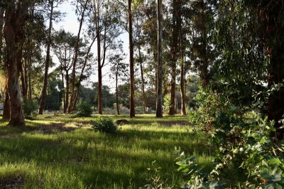 Terreno en Reserva de Montoya 