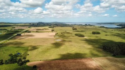 Venta de Chacra en Laguna del Sauce, Punta del Este