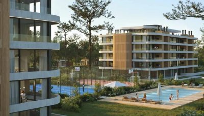 Mansa Forest Proyecto