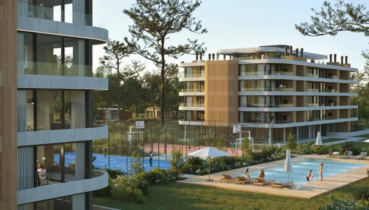 Mansa Forest Proyecto