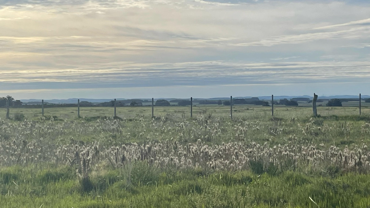 Permuta - Chacra de 34 ha. a 500 metros de desarrollo Las Garzas. Permuta - Venta