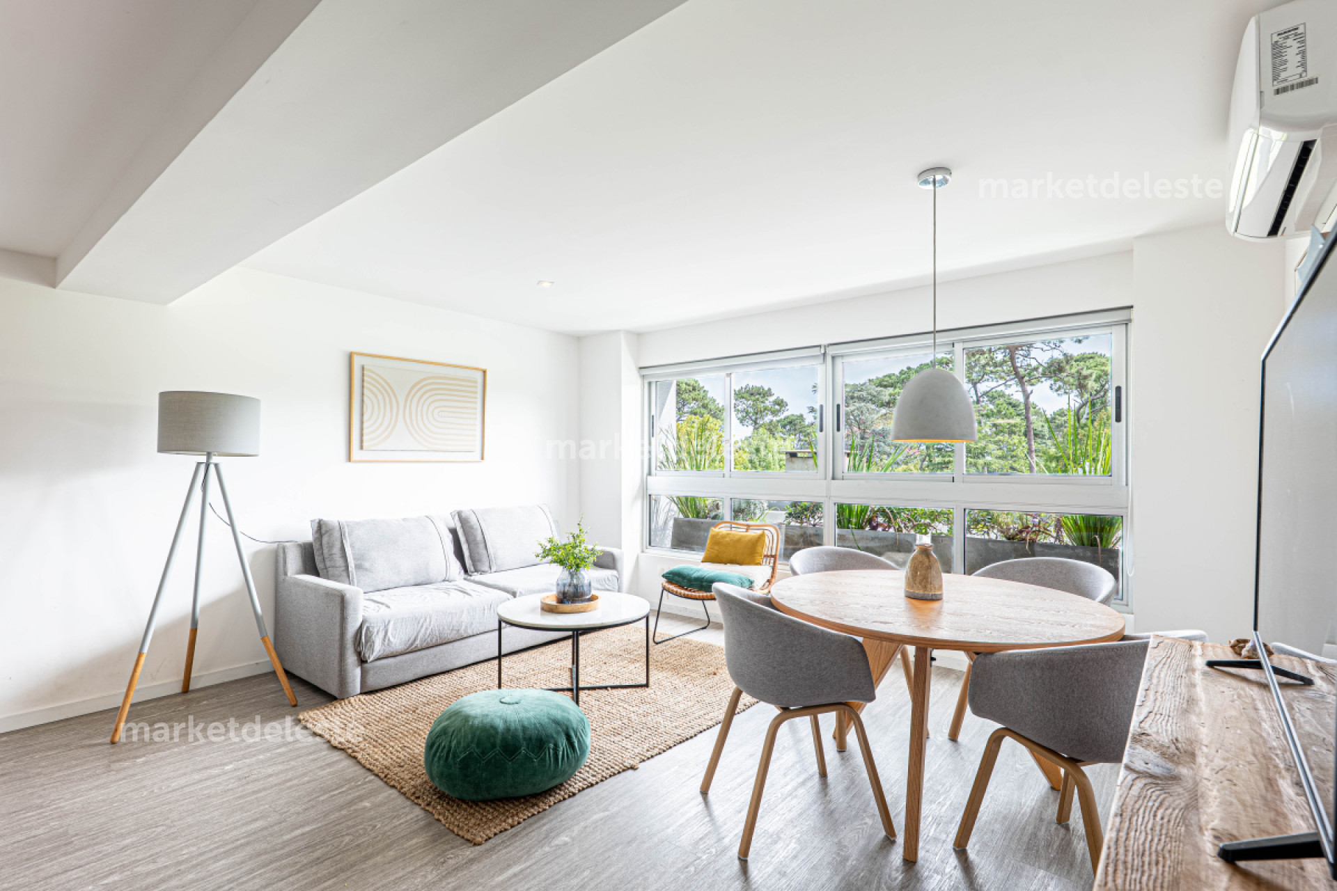 OCEAN DRIVE COUNTRY 2 DORM