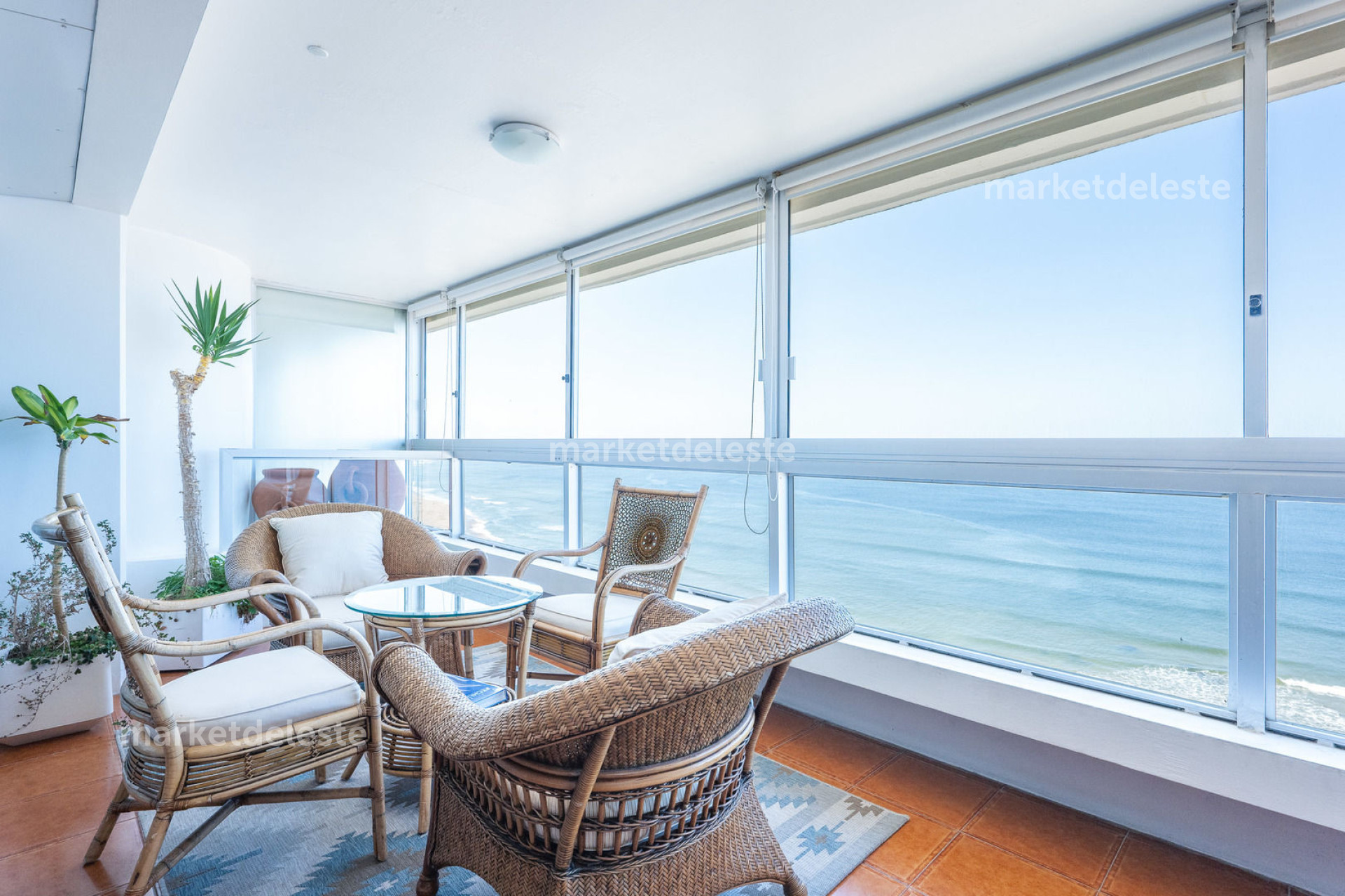 ESTRELLA DE MAR 3 D + SERV