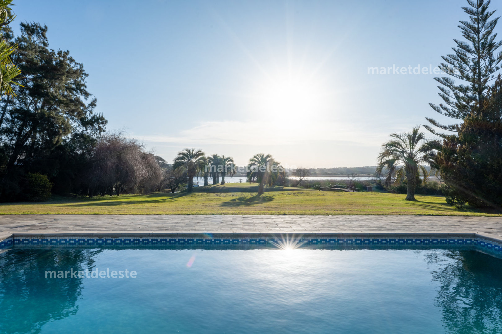 LAGUNA DEL DIARIO - 1.4 HÁS