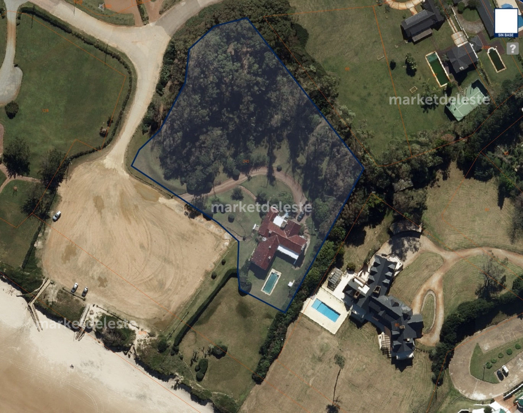 SOLANAS PRIMERA LINEA