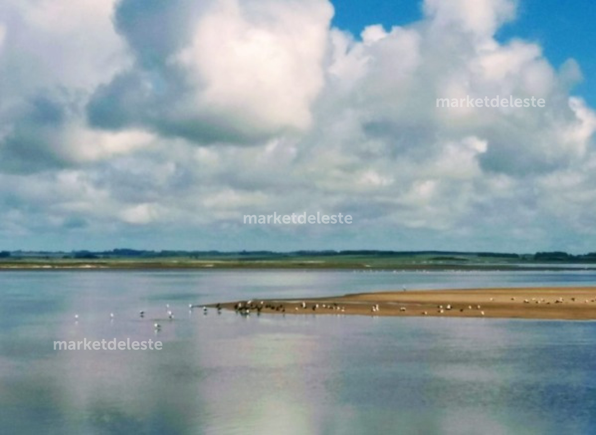 Chacra de 39 hectáreas con costa a la Laguna de José Ignacio
