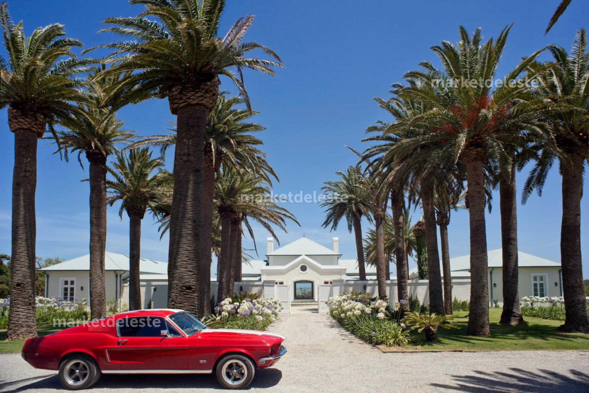 LUJO EUROPEO - LA BARRA