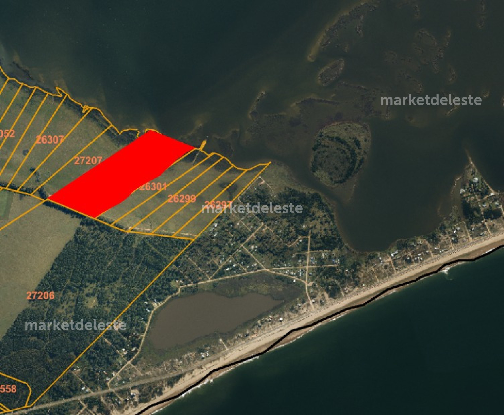 Chacra de 15 hectáreas con costa a la Laguna de José Ignacio