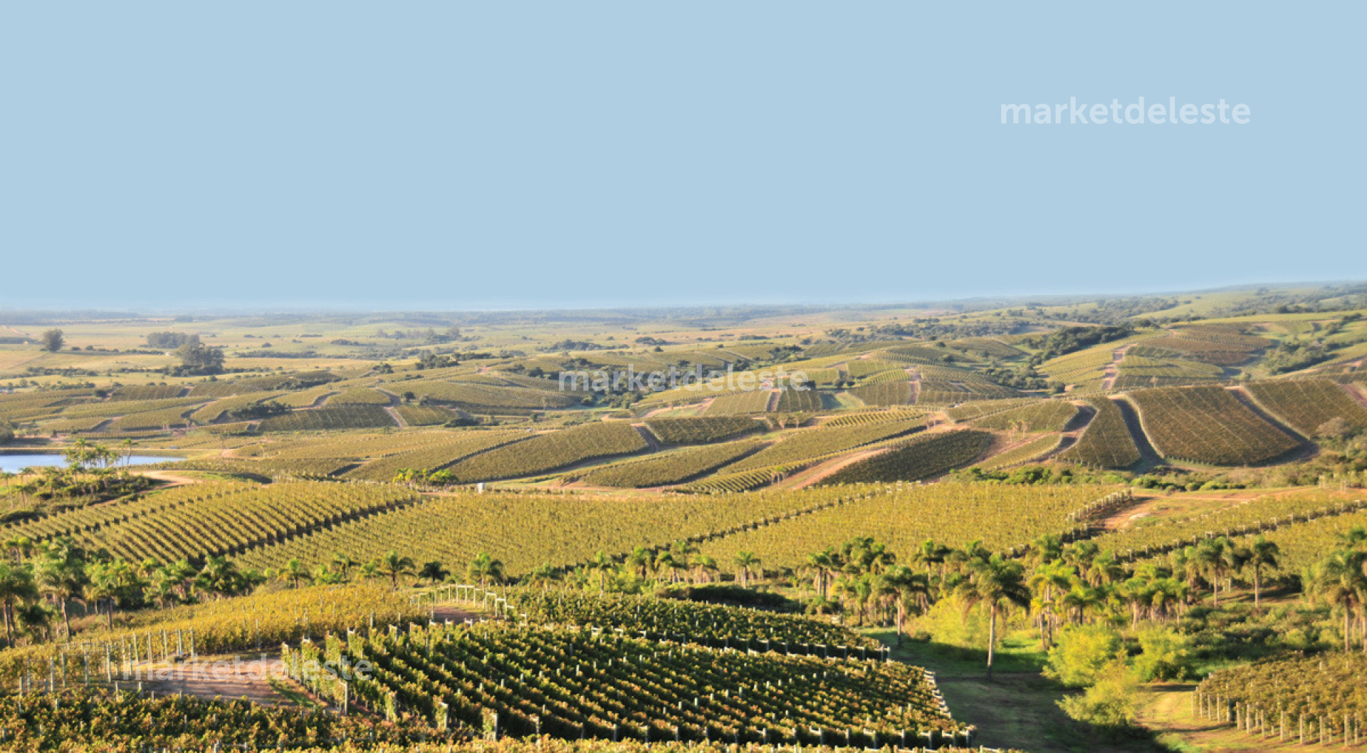 CHACRA EN LA TOSCANA DE GARZON - N° 13