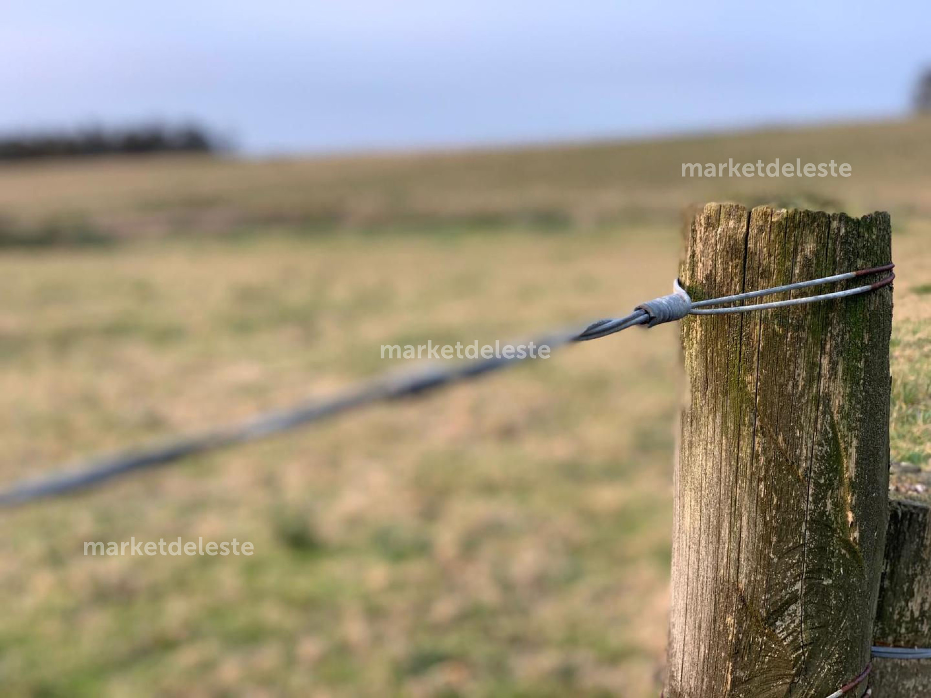 6.8 HAS CHACRA EN NARBONA  