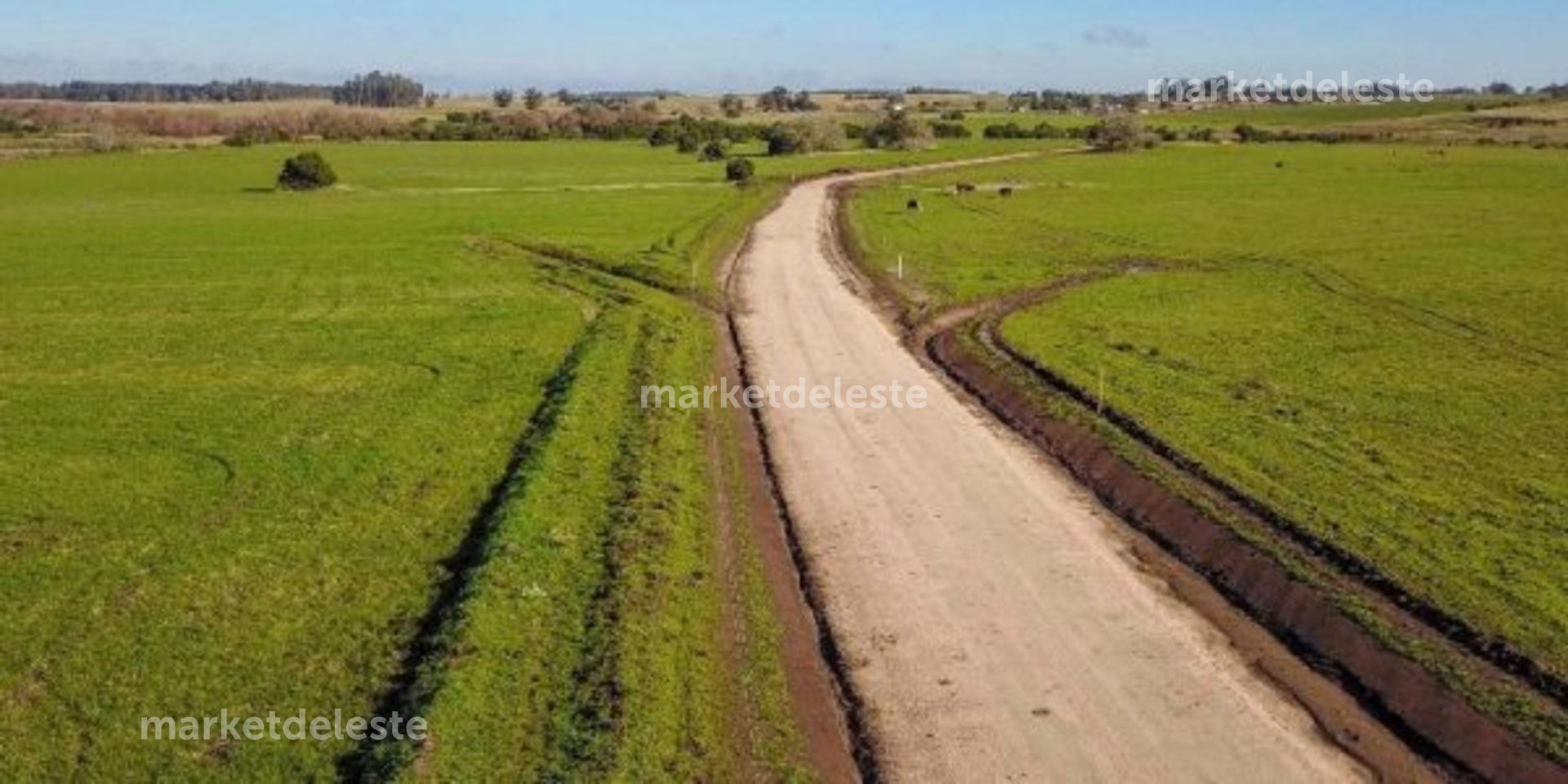 CHACRAS DE SAN CARLOS - CHACRA 7