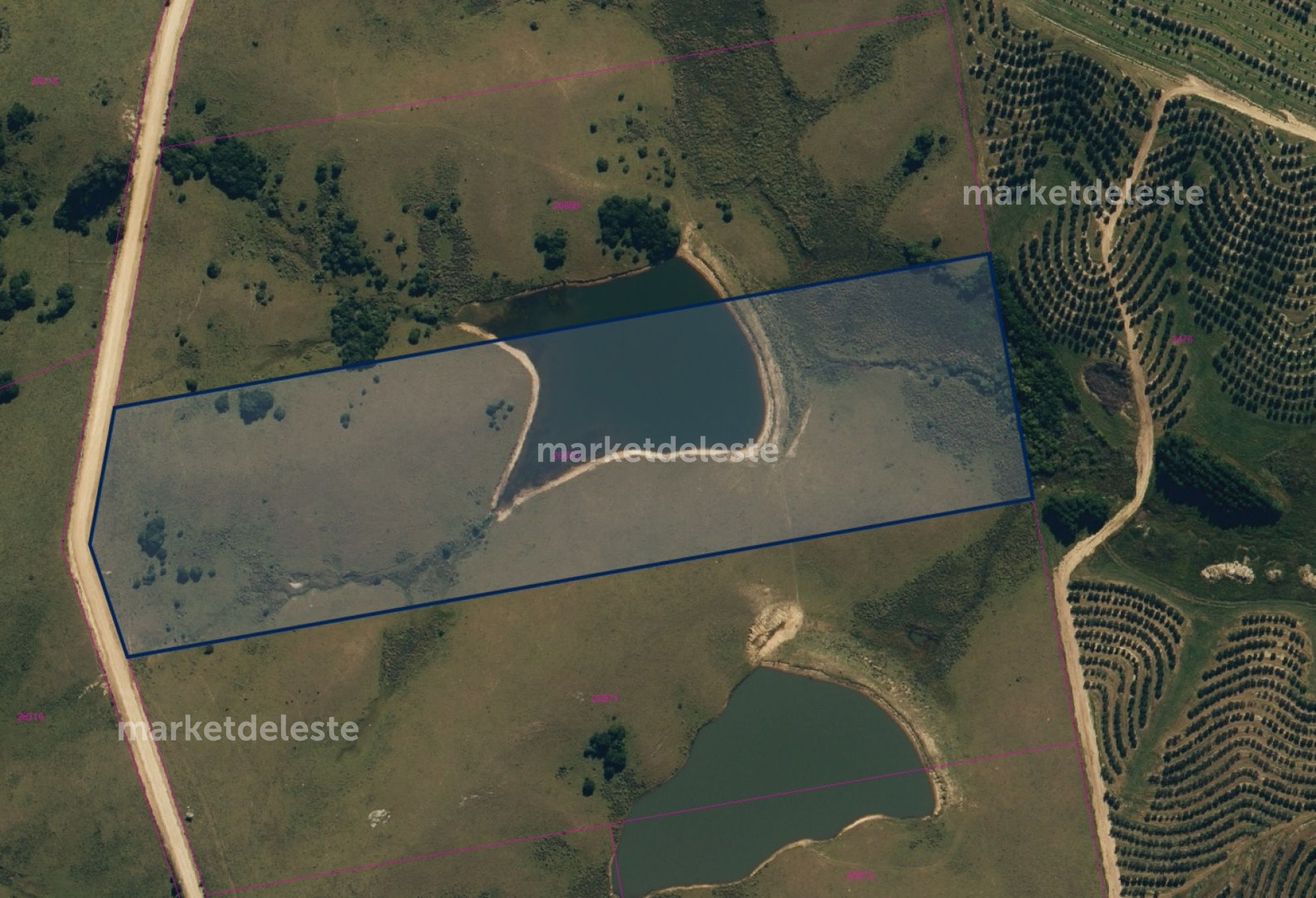 CHACRA EN GARZON 9.5 HAS 