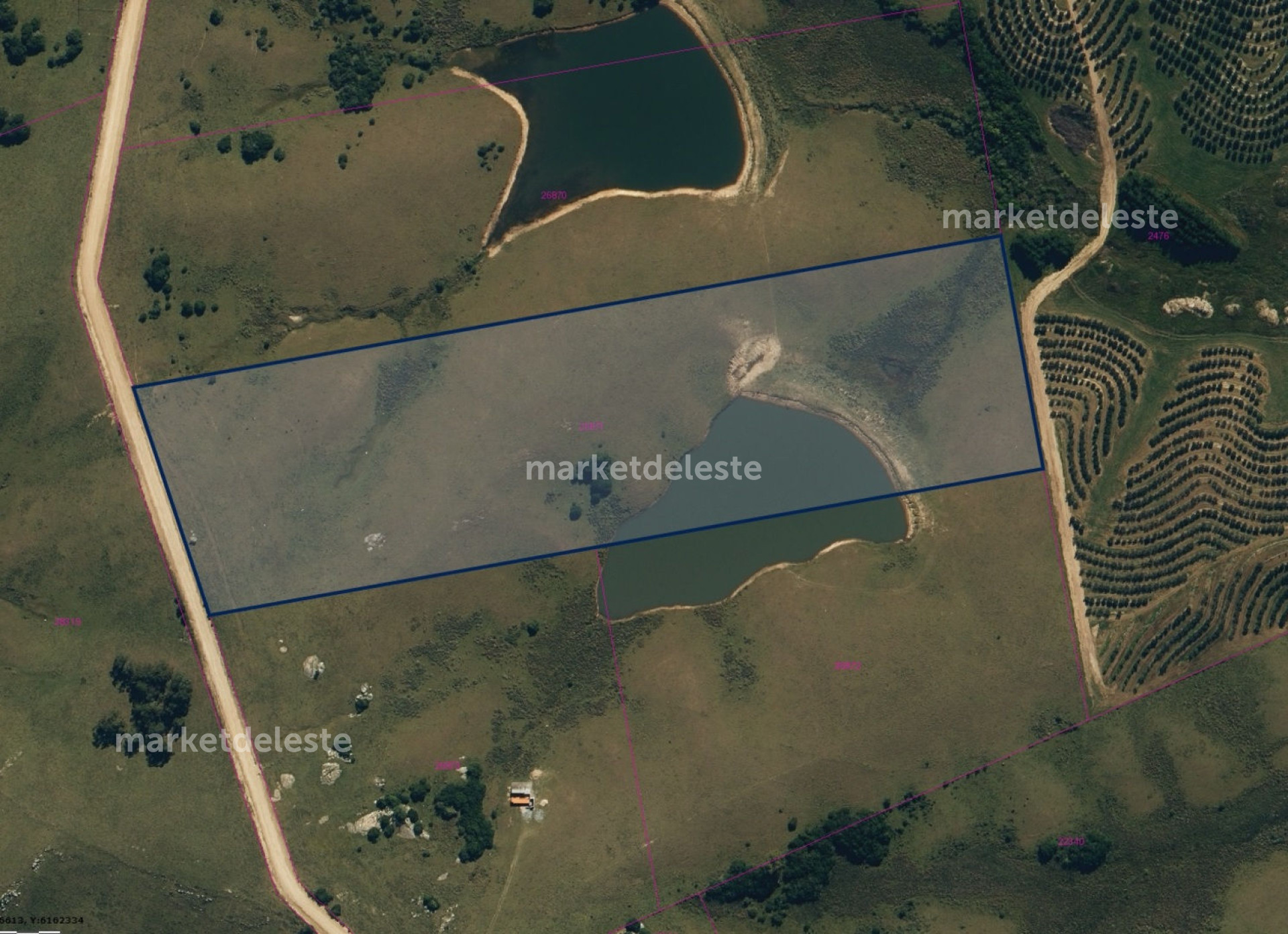 CHACRA EN GARZON  9.3 HAS