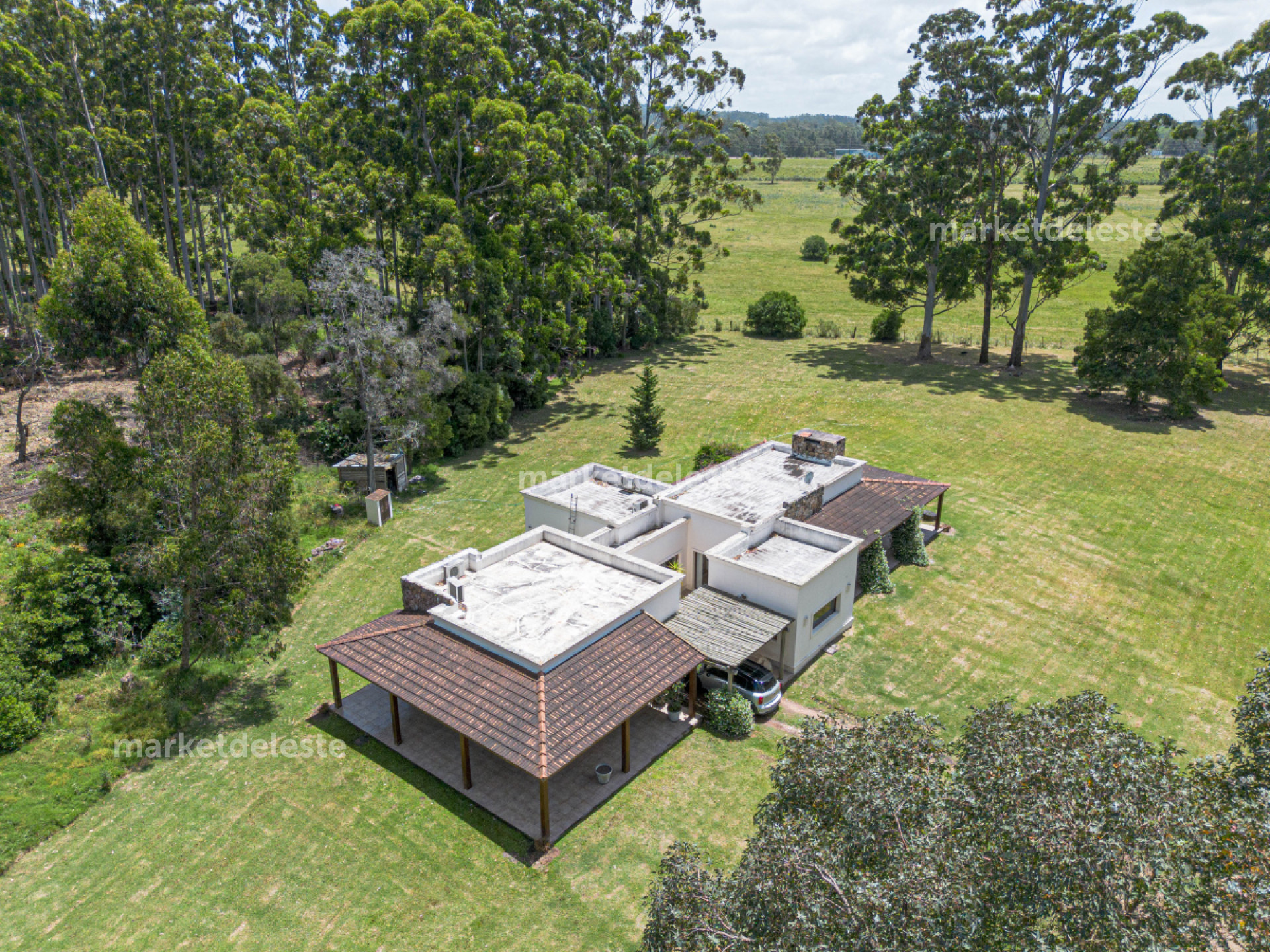 CHACRA EN LAS SILVIAS - PUNTA BALLENA