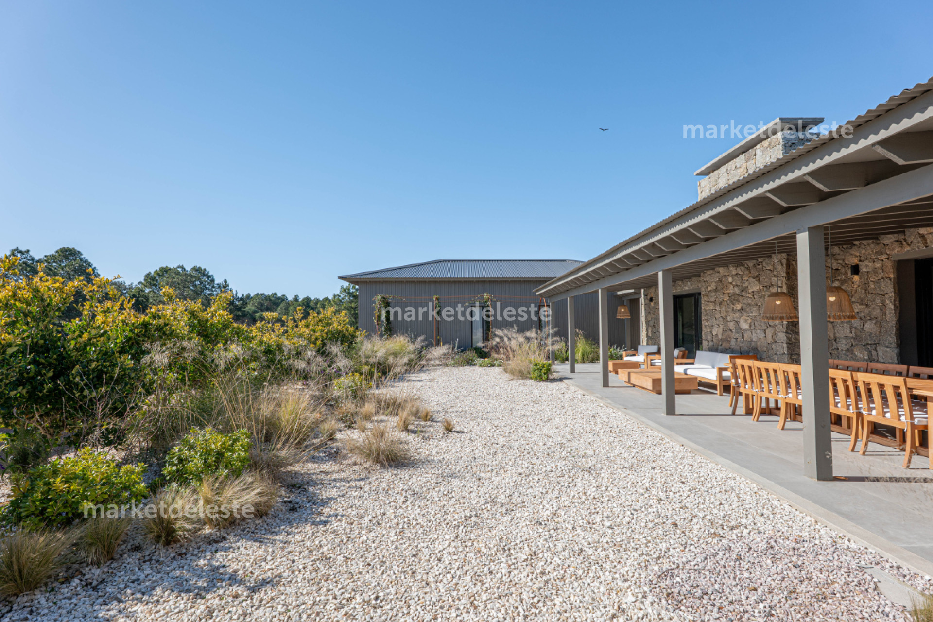 CHACRA EN JOSE IGNACIO "ROSAS"
