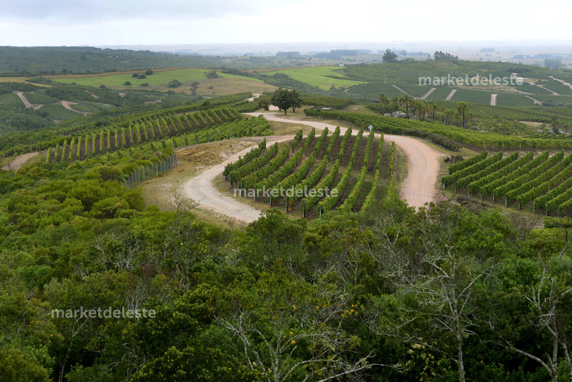 CHACRA EN GARZON - LA TOSCANA DE GARZON CHACRA 15